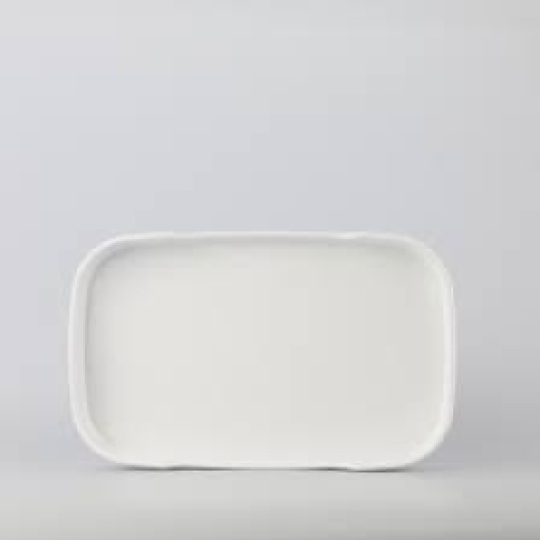 Khay sushi CN TV196, TV197